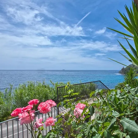 Casa Cap Corse * Brando